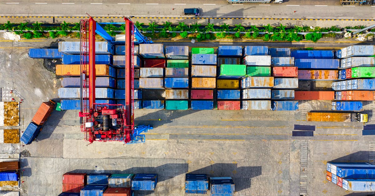 export media library wordpress