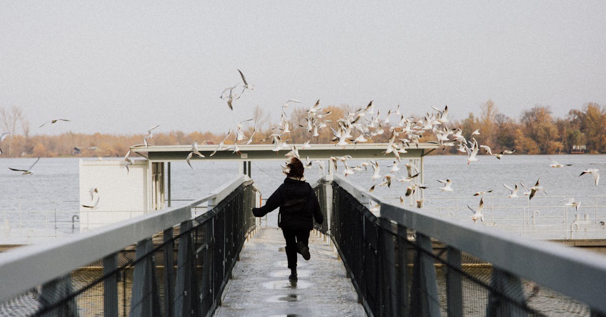wordpress migrate
