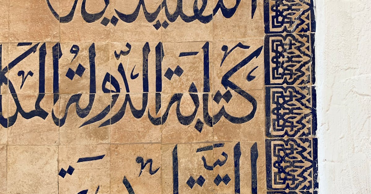 what language is wordpress written in
