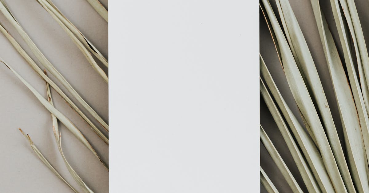 divi template wordpress