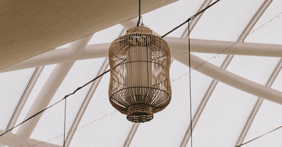 wireframe wordpress