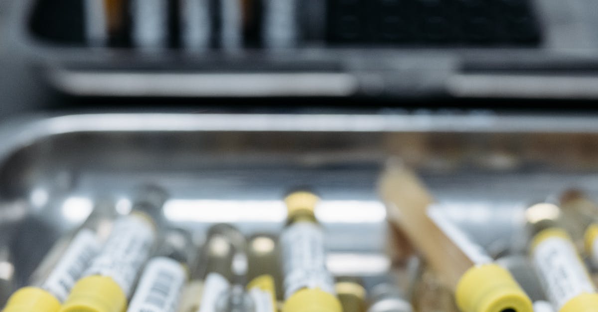 ab testing wordpress