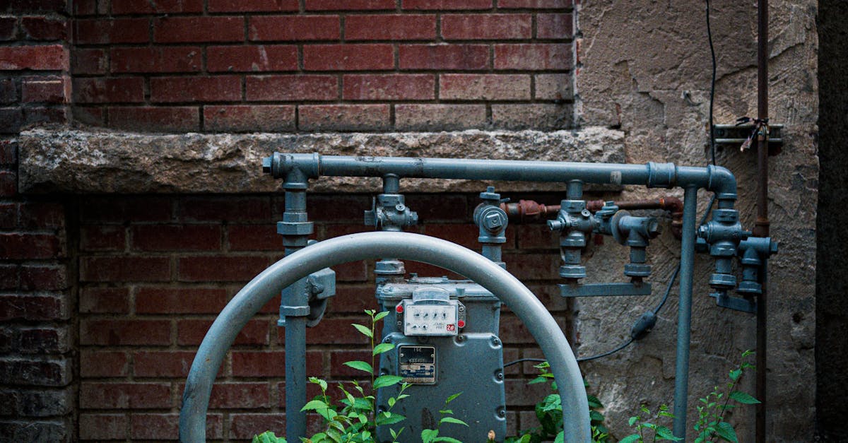 webflow vs. wordpress