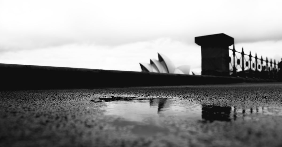 wordpress websites sydney
