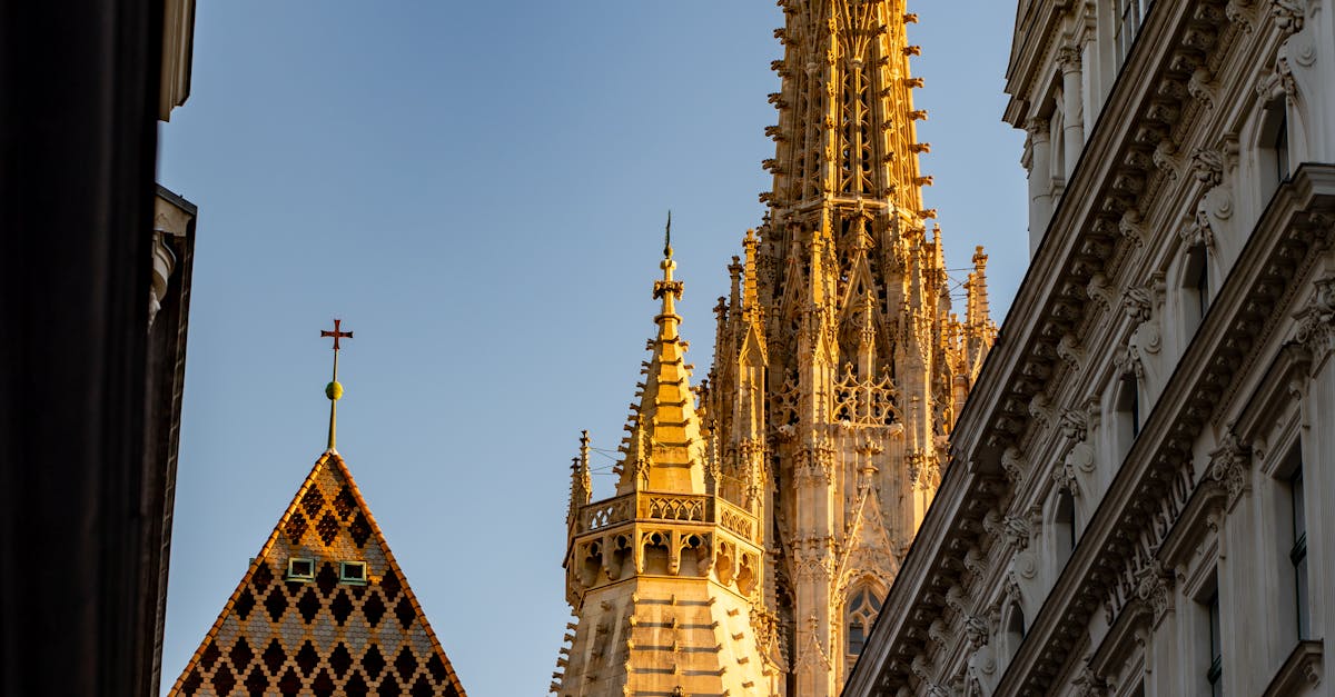 wordpress wien