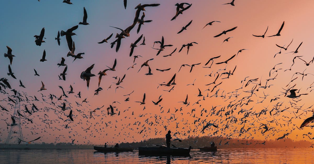 migrate to wordpress