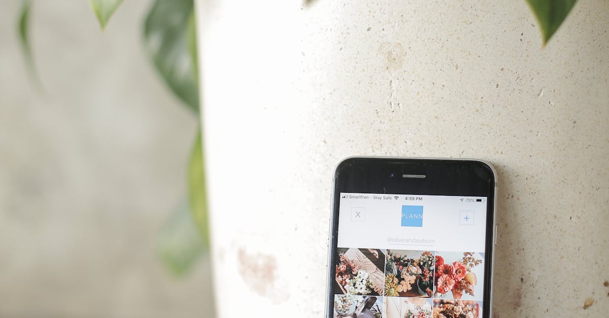 user roles wordpress