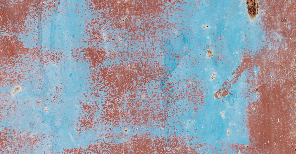 wordpress redirects to old domain