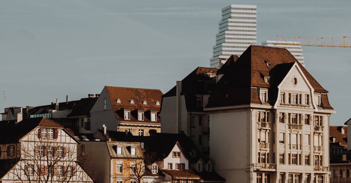 wordpress agentur basel