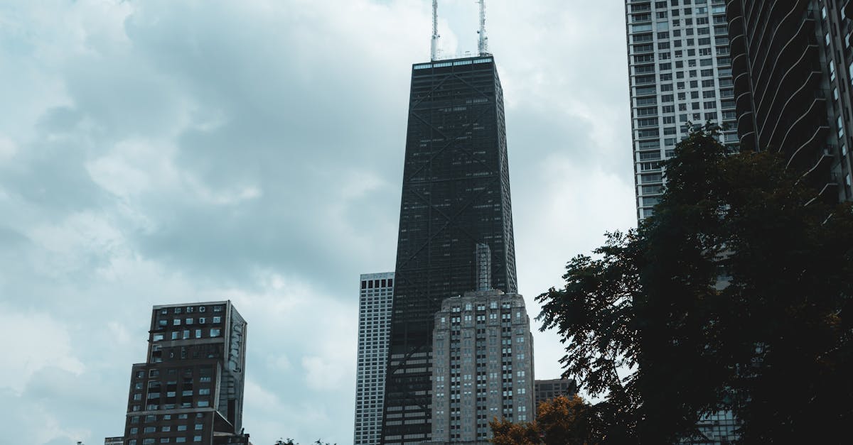 wordpress designer chicago