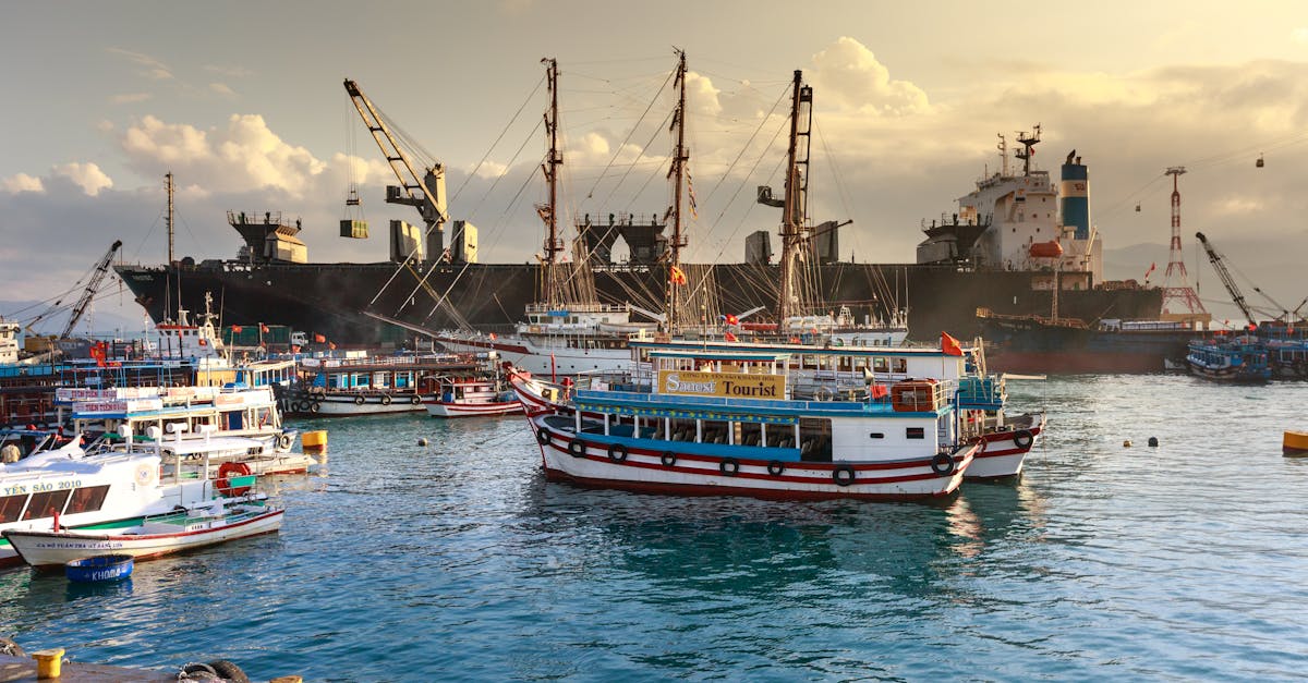 wordpress export