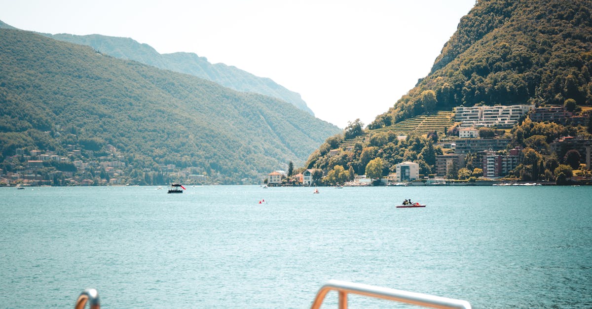 wordpress schweiz