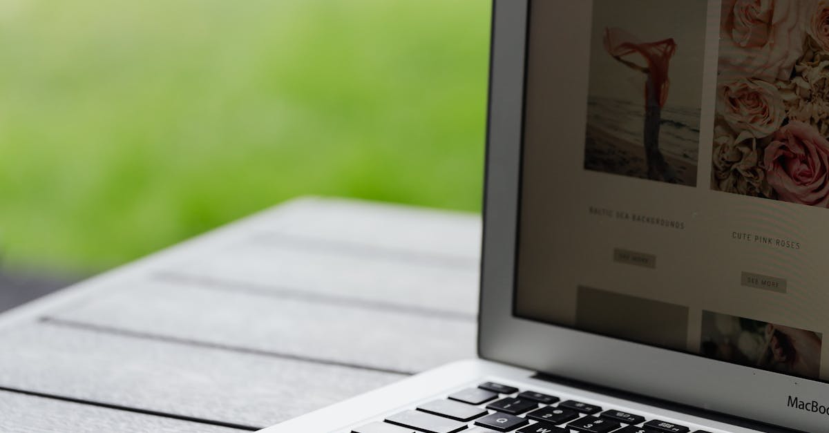 wordpress website voorbeelden