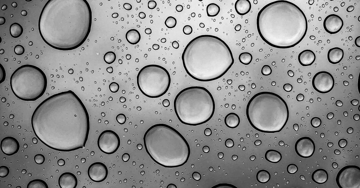 clear cache in wordpress