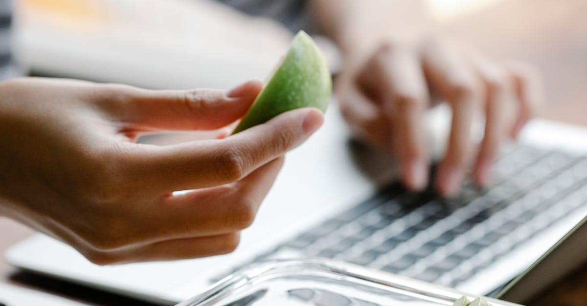 freelance wordpress