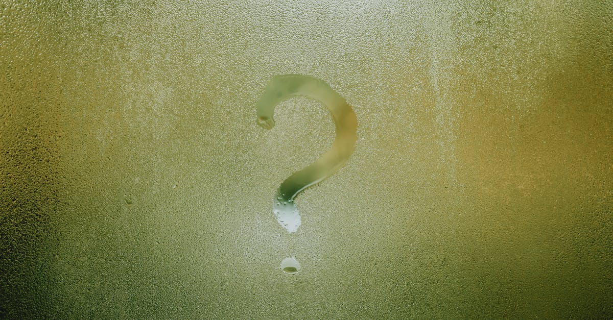 wordpress query
