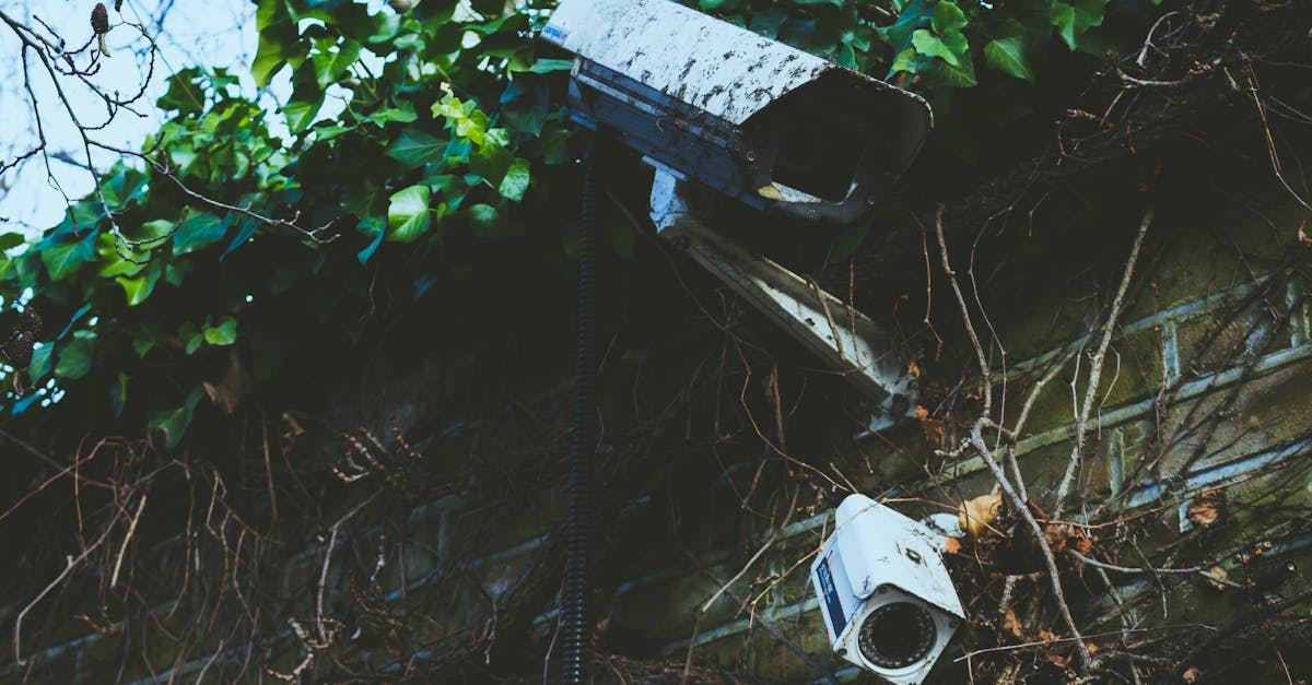 how to integrate mailchimp with wordpress