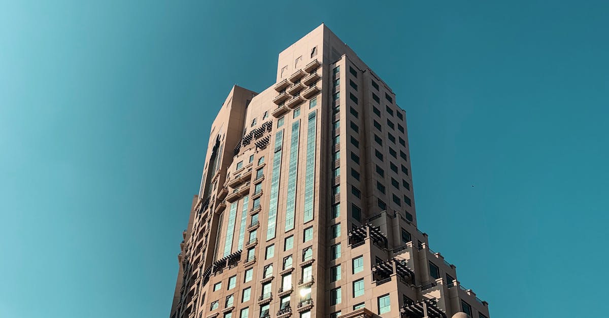wordpress development dubai