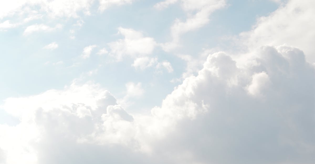 wordpress website translation