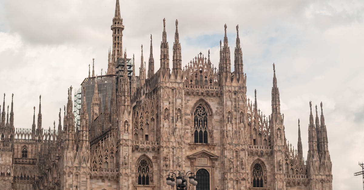 sviluppo wordpress milano