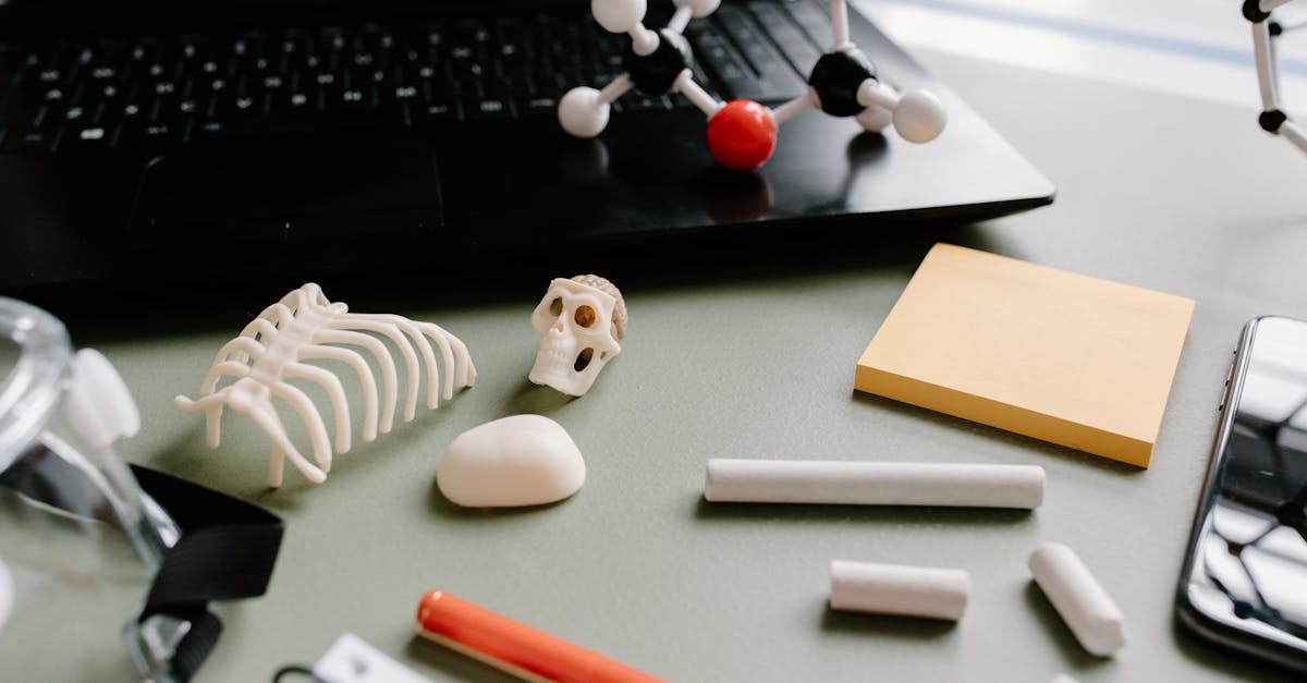 wordpress testing
