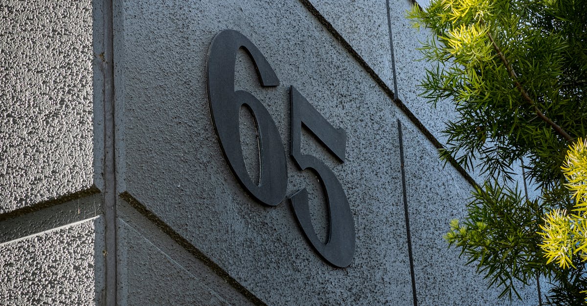 wordpress 6.5
