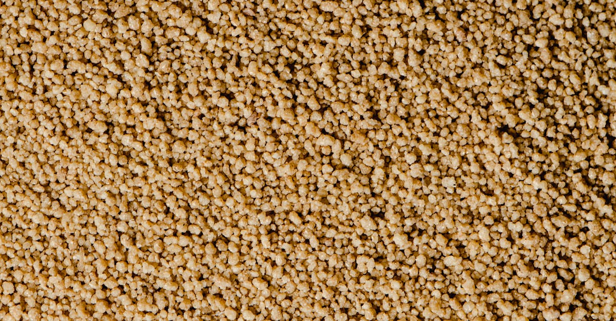 wordpress crop image