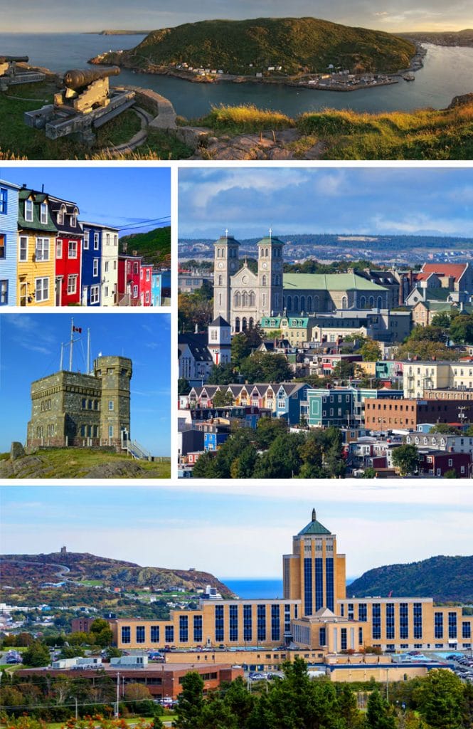 WordPress Solution St. John's Canada