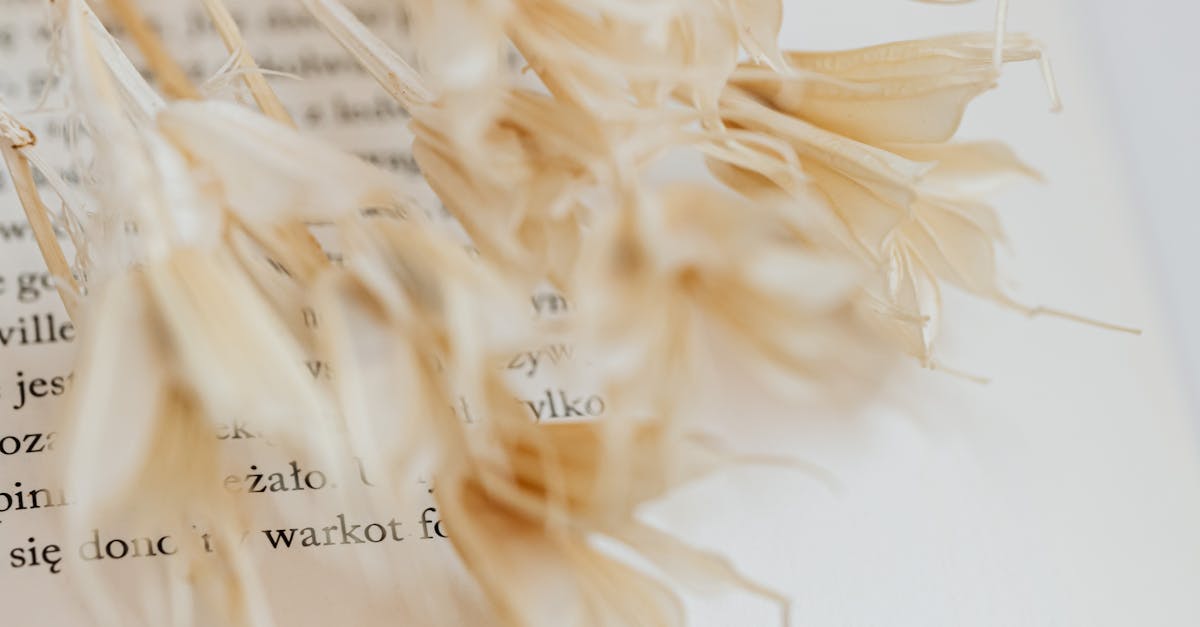 how to add pages in wordpress