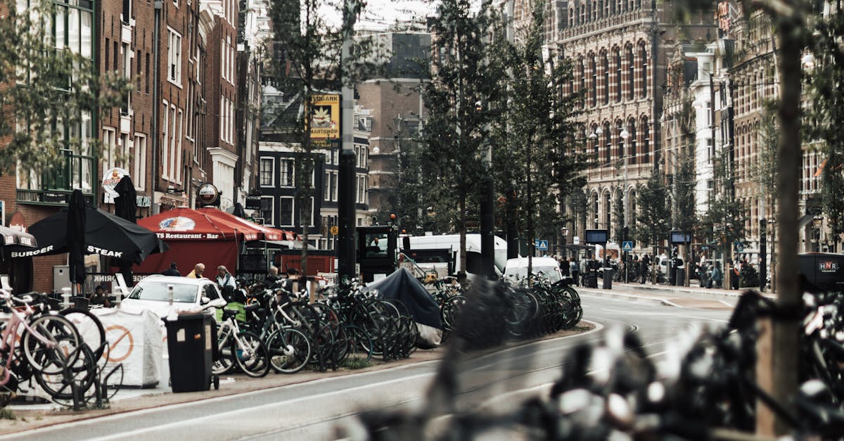 wordpress amsterdam