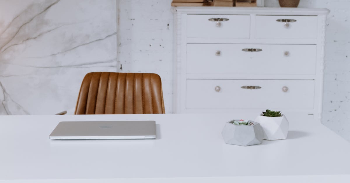 wordpress freelance