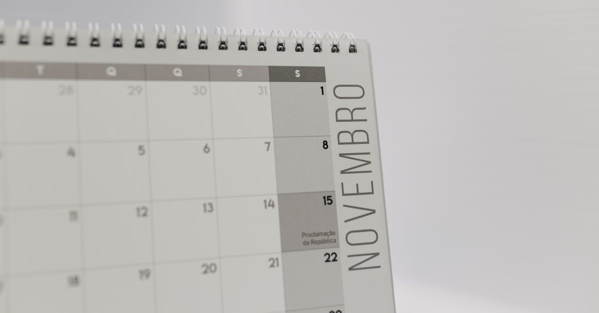 wordpress timeline