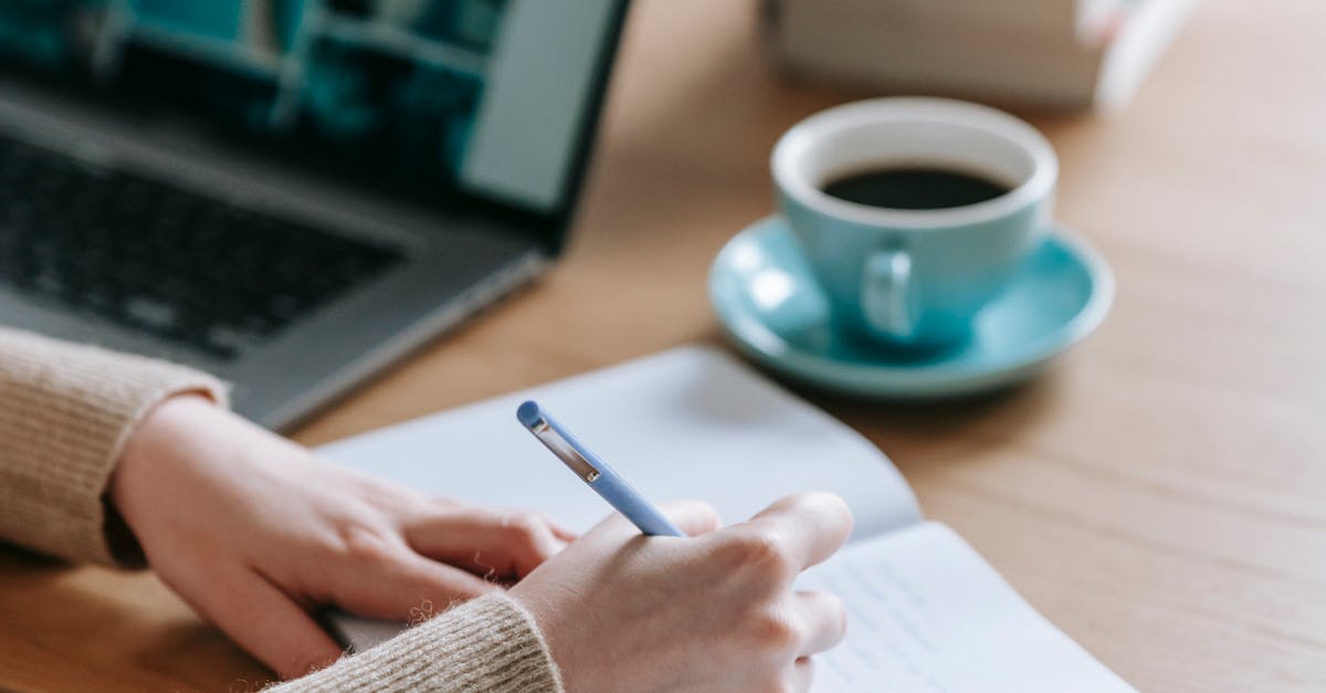 freelance wordpress developer edinburgh