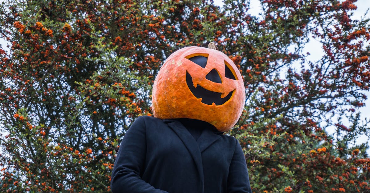 headless wordpress