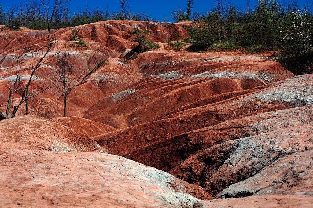 WordPress Agency Caledon Canada