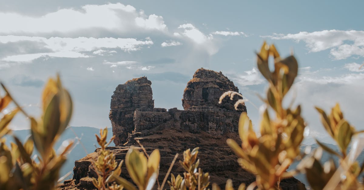 wordpress background image