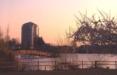 WordPress Hosting Abbotsford Canada