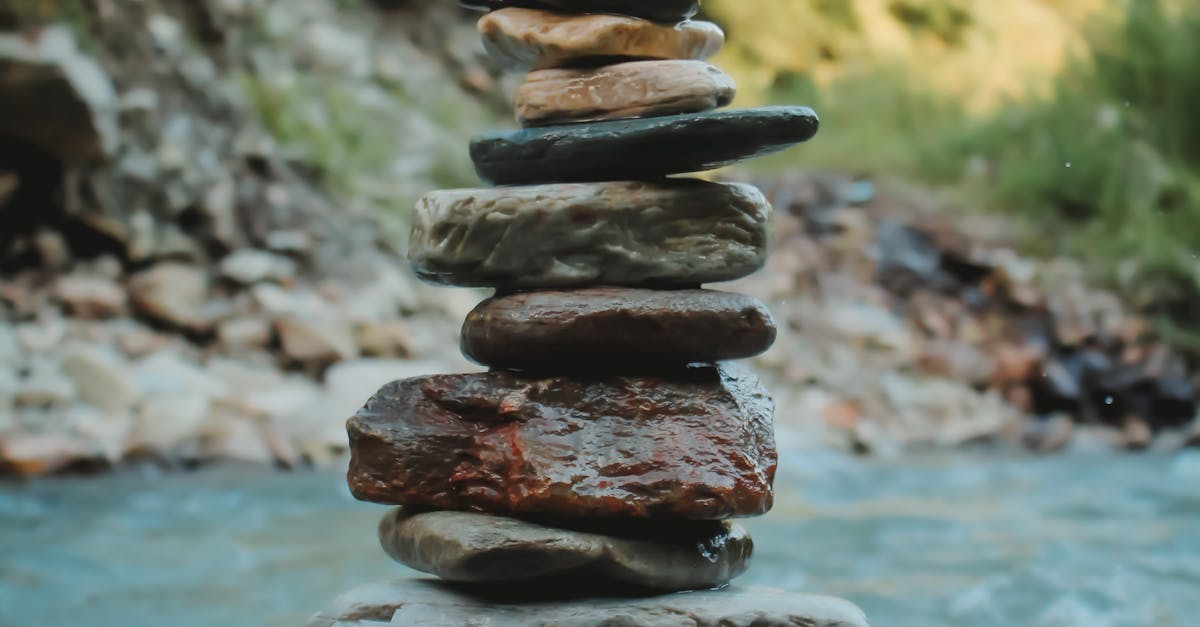 wordpress stack
