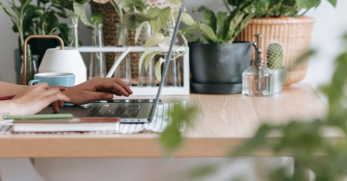headless wordpress website design agency