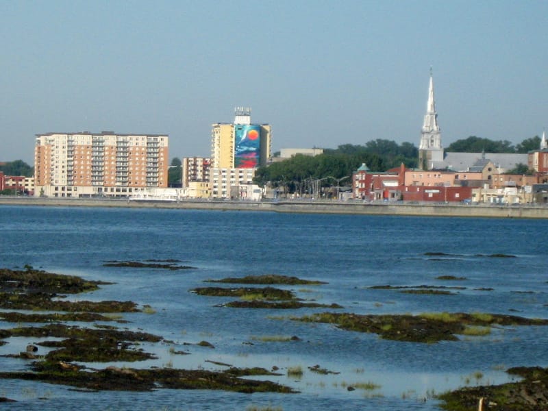 WordPress Solution Rimouski Canada