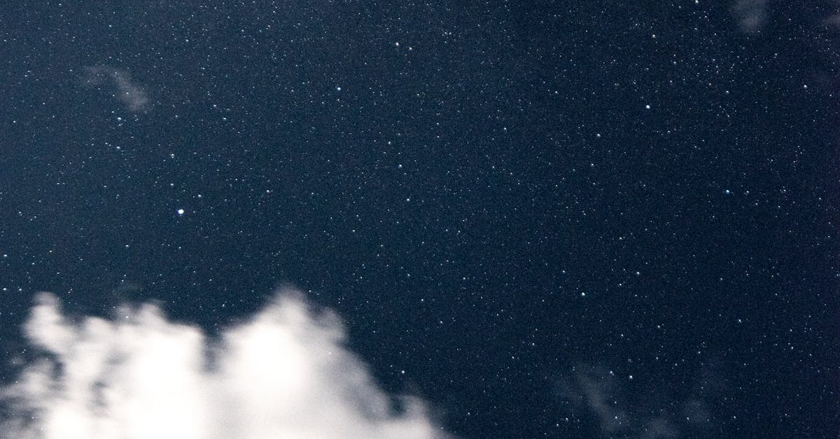 wordpress staging environment