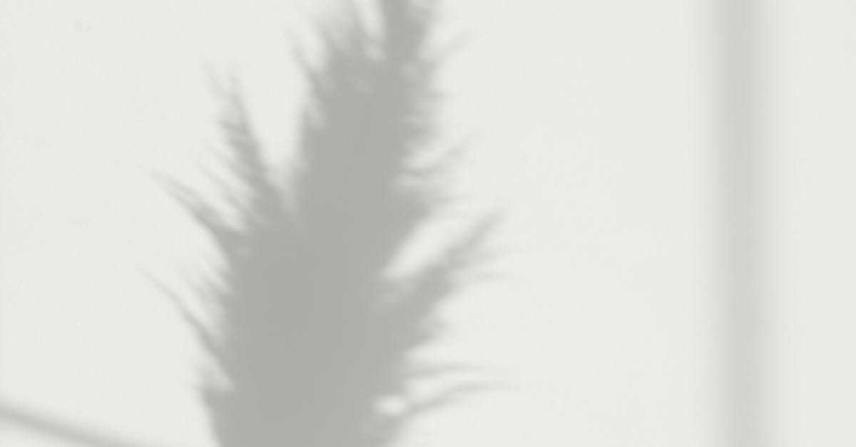 wordpress theme for bands