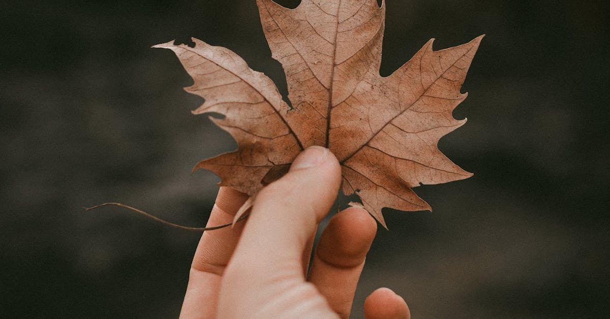 change wordpress database prefix