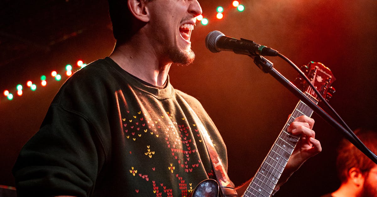 wordpress band website