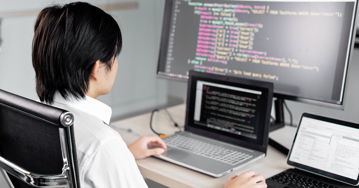 wordpress for developer