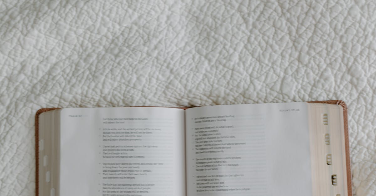 wordpress posts vs pages