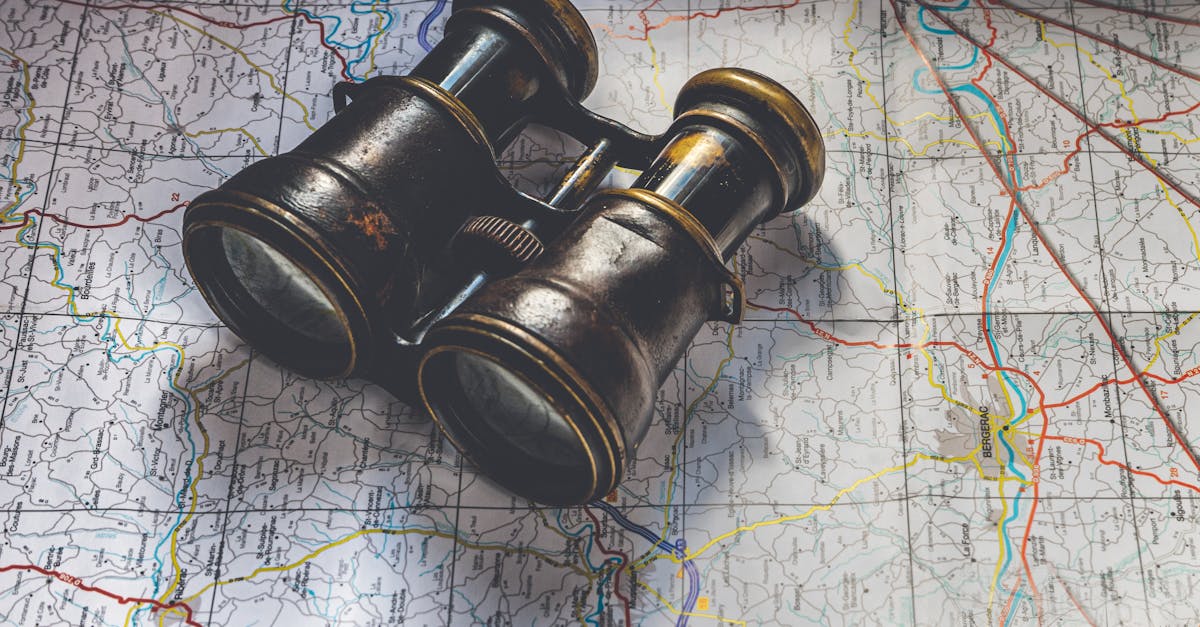 wordpress roadmap