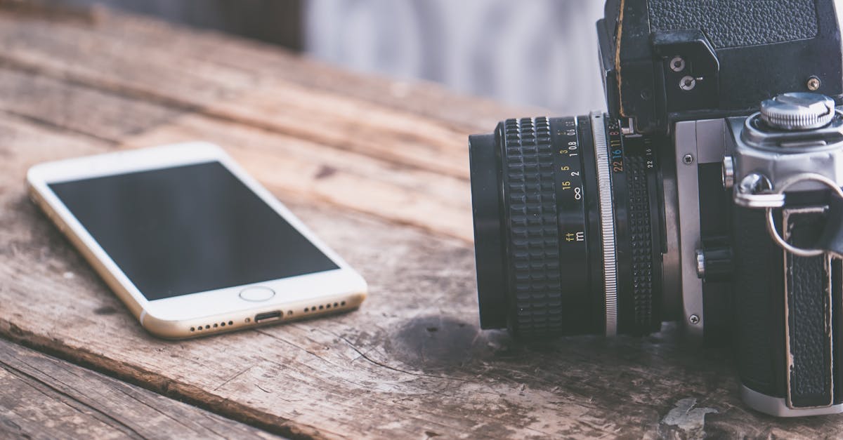 wordpress vs. webflow
