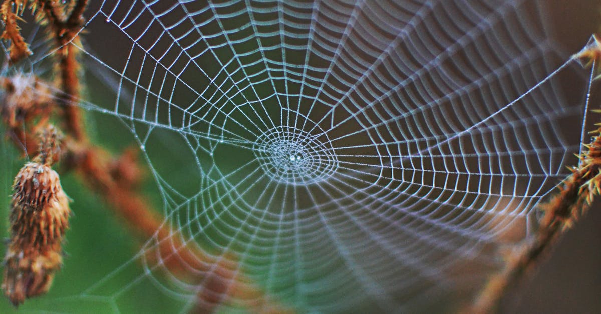 agence web spécialisée wordpress