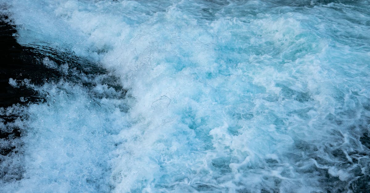 bubble vs wordpress